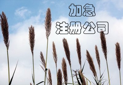 上海公司注冊流程是怎樣的？